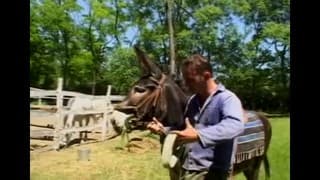 Лаура Орсоля любит ебаться на природе