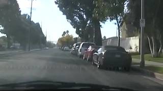 Лорен - брюнетка с большой задницей!