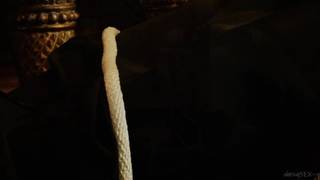 Шикарна Алетта Оушен жаждет любви и секса!