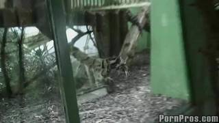 Шлюха гладят по лицу членом