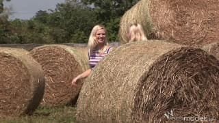 Blond Cat и Yasmine Gold между тюками сена Blond Cat и Yasmine Gold между тюками сена