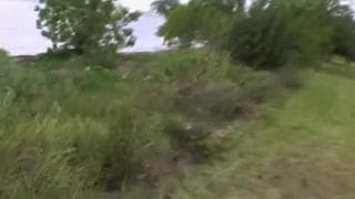 Марина Мейвуд трахается на открытом воздухе