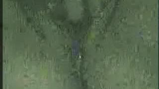 Очень близко мастурбирует на камеру.