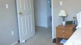 Она мастурбирует на веб-камеру для вас