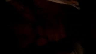 Брюнетка дает хороший минет на камеру