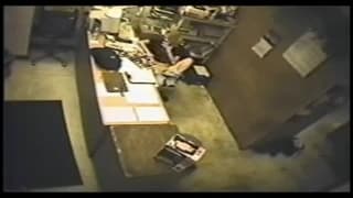 Этой птичке скучно на работе