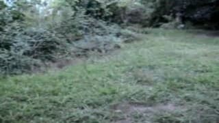 Брюнетка мастурбирует себя на природе