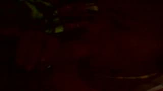 Сосать и заниматься сексом перед камерой