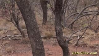 Подтвердите свой возраст