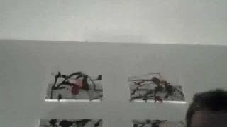 Подтвердите свой возраст