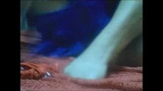 Подтвердите свой возраст