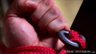 Немного минета и куни для начала от Мэй Бэйли и Стеллы Делакруа! Немного минета и куни для начала от Мэй Бэйли и Стеллы Делакруа!