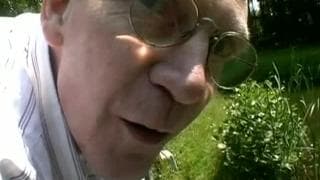 Блондинка, которая любит трахаться в киску Блондинка, которая любит трахаться в киску