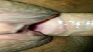 Ее черная киска получает сегодня белый член