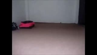 Подтвердите свой возраст