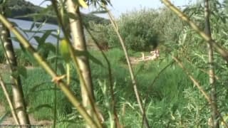 Подтвердите свой возраст