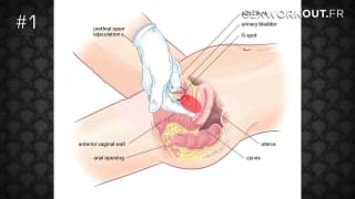 Секс-игрушки и 45 примеров, чтобы почувствовать себя порно-звездами!