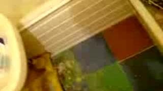 Подтвердите свой возраст