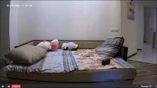 Подтвердите свой возраст