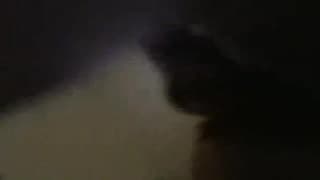 Подтвердите свой возраст