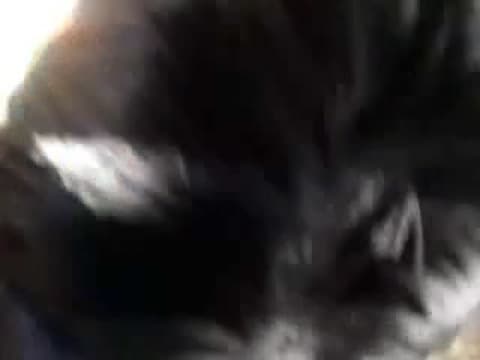 Подтвердите свой возраст