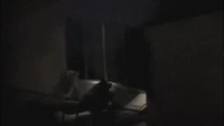 Хороший трах в темноте и мы все это видим