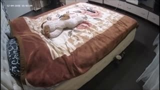 Грейс проводит время в одиночестве с игрушками