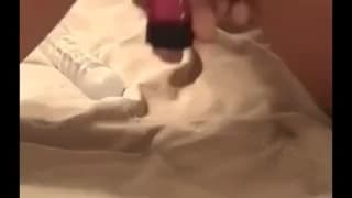 Подтвердите свой возраст