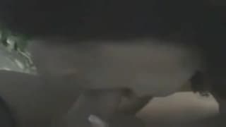 Они любят хуй и любят получать сперму на лицо Они любят хуй и любят получать сперму на лицо