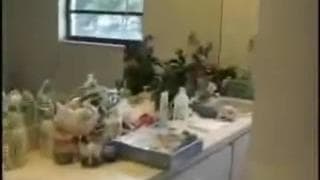 Подтвердите свой возраст