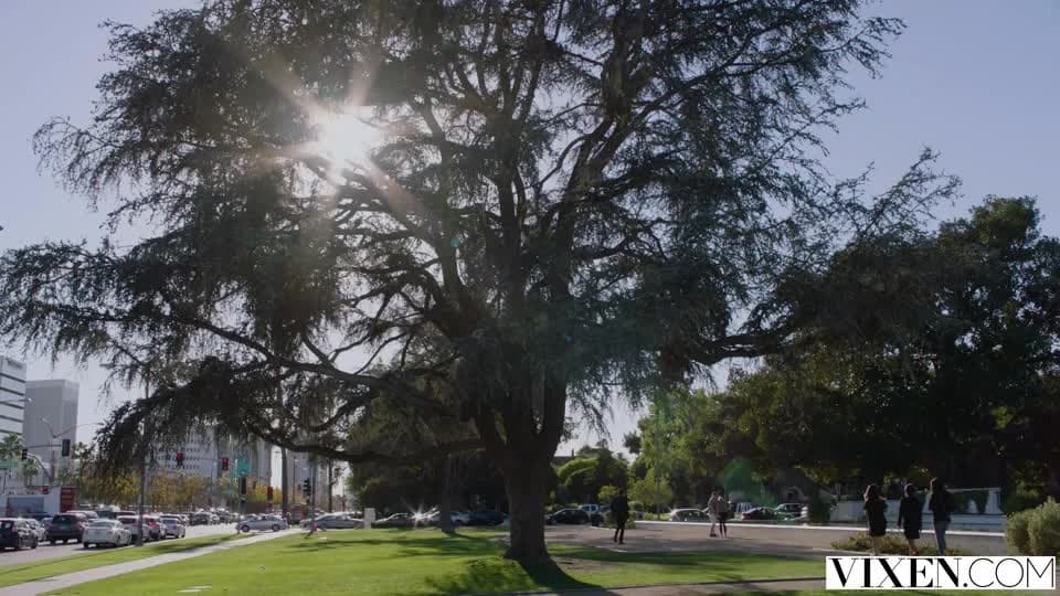 Подтвердите свой возраст