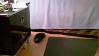 Домашнее видео с развратной чёрной парой