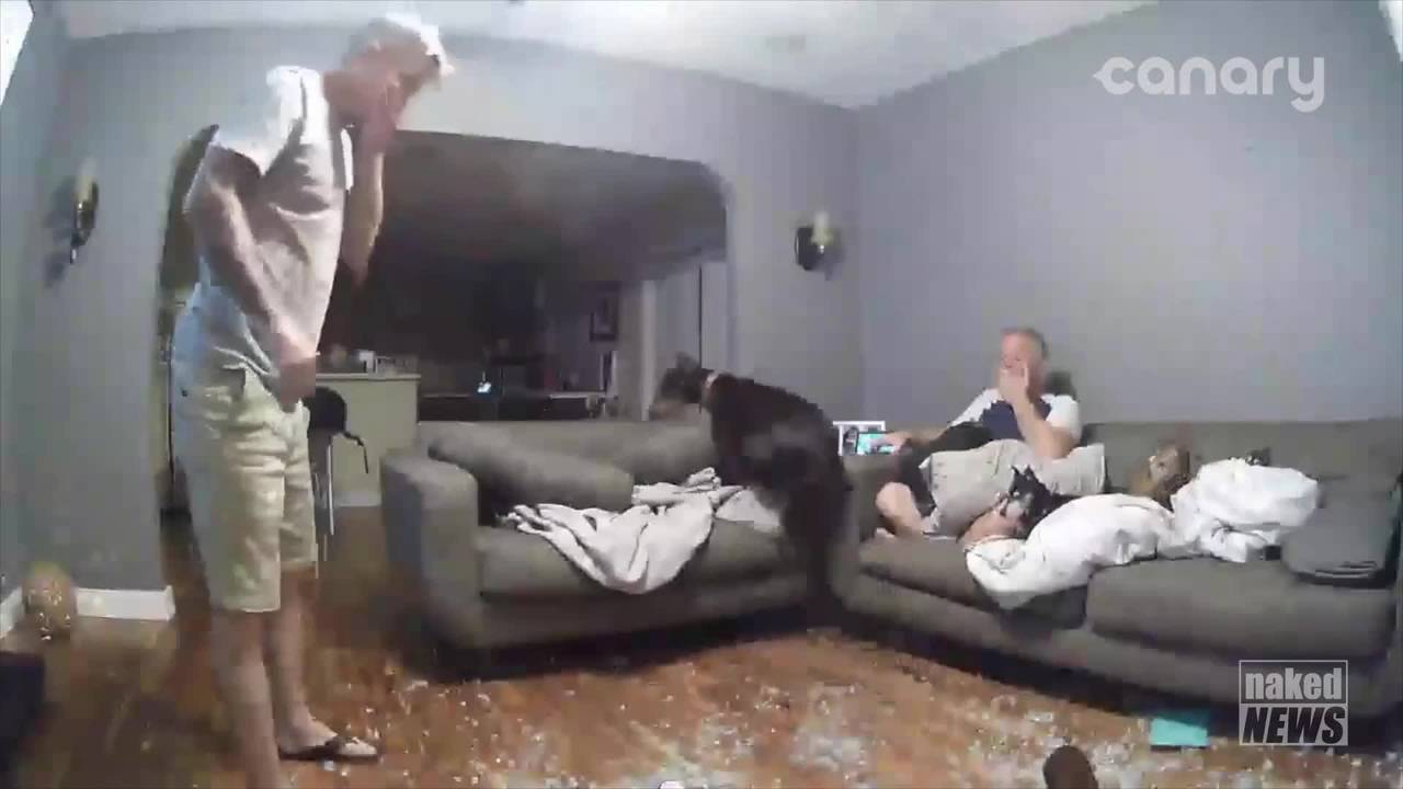 Подтвердите свой возраст