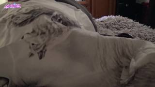 Француженка Виктория Алуква, занимается оральным сексом и трахается