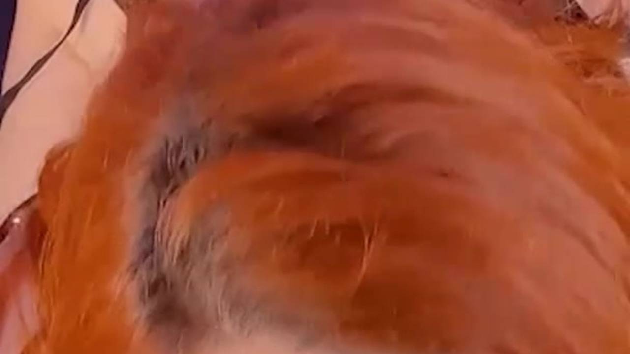 Подтвердите свой возраст